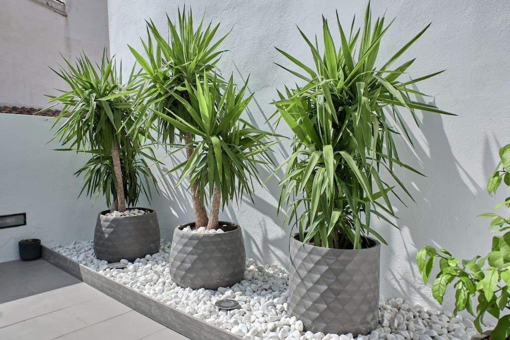 Sunny Cozy Penthouse With A Terrace At Plaza Del Carmen Apartamento Valência Exterior foto